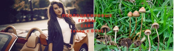 бутират Кодинск