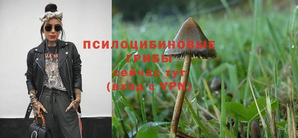 экстази Козельск