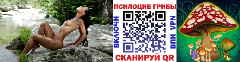 Купить где  Карталы  Псилоцибиновые грибы мицелий 
